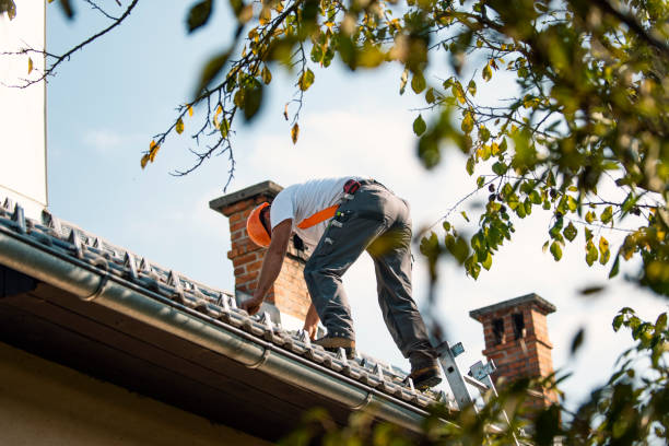 Best Flat Roof Repair Services  in Lemmon, SD